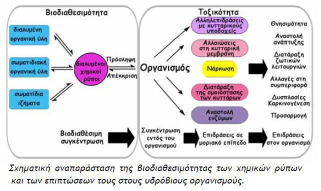 Εικόνα 1.