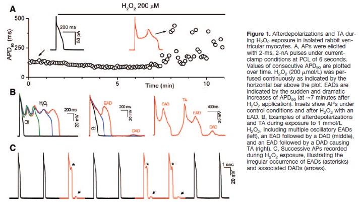 Electrophysiological Changes Oxidative stress,