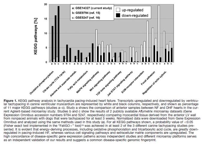 Regional Transcriptome Trancriptome