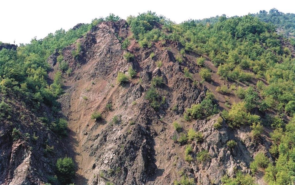 52 Τεκτονοστρωματογραφία των οφιολίθων της Πίνδου και των ενοτήτων που σχετίζονται με αυτούς στην περιοχή της οροσειράς της Πίνδου (από Robertson et al. 1991). Εικ. 53.