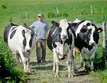 Mastitídy dojníc a farmársky spôsob výroby mlieka Významnou súčasťou zdravia dojníc je zdravotný stav mliečnej žľazy.