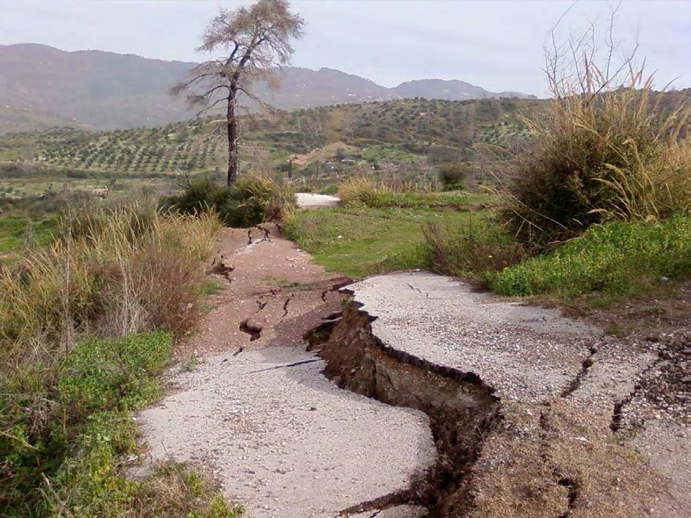 Φωτογραφία 14 : Επαρχιακή