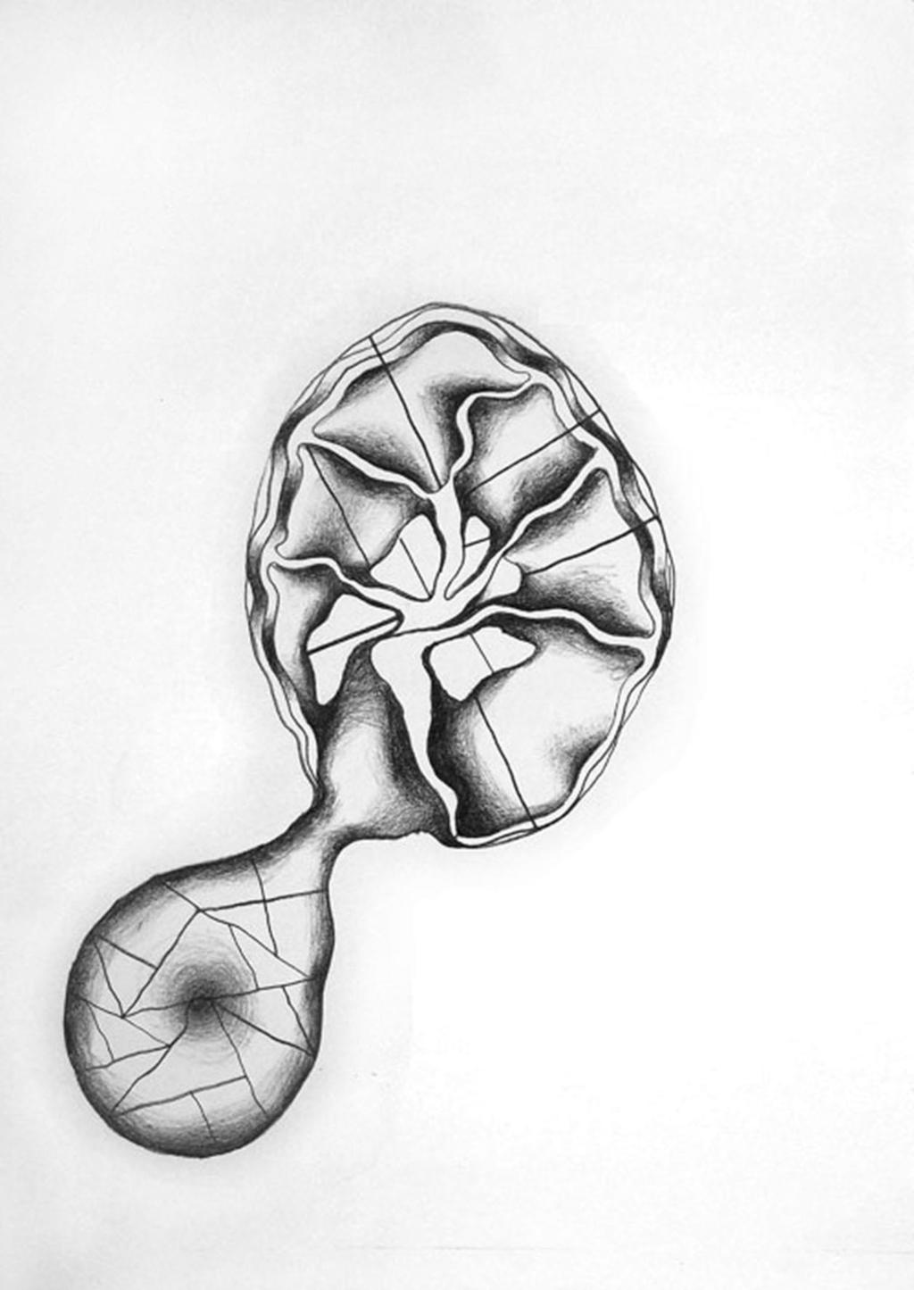 Neurological drawing