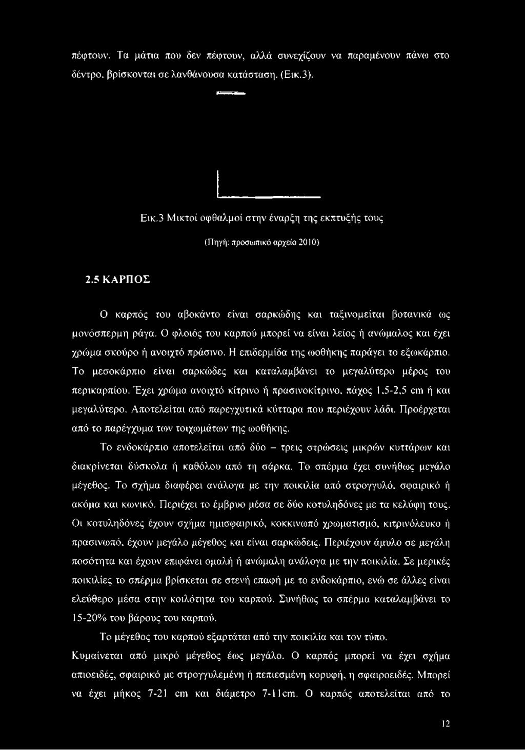 Ο φλοιός του καρπού μπορεί να είναι λείος ή ανώμαλος και έχει χρώμα σκούρο ή ανοιχτό πράσινο. Η επιδερμίδα της ωοθήκης παράγει το εξωκάρπιο.