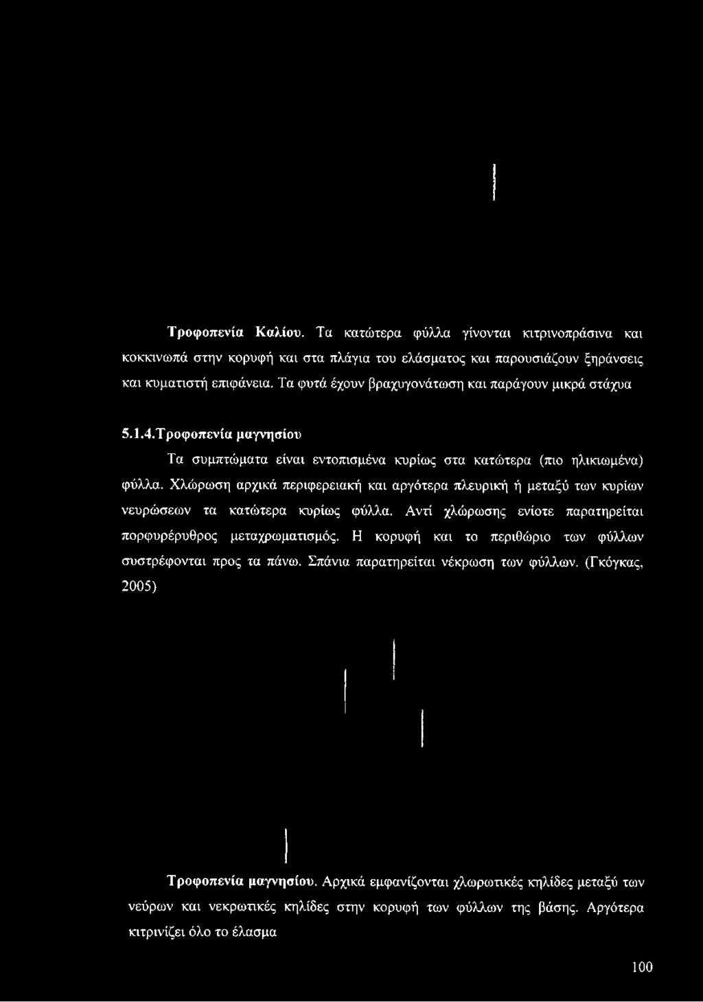 και παρουσιάζουν ξηράνσεις και κυματιστή επιφάνεια.