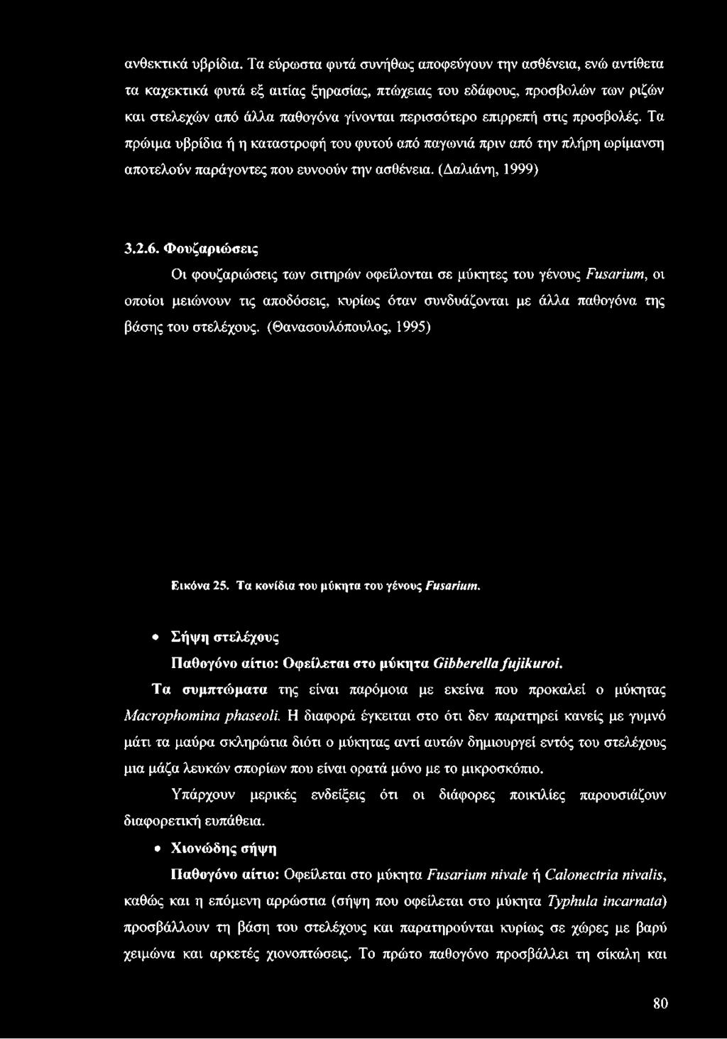 επιρρεπή στις προσβολές. Τα πρώιμα υβρίδια ή η καταστροφή του φυτού από παγωνιά πριν από την πλήρη ωρίμανση αποτελούν παράγοντες που ευνοούν την ασθένεια. (Δαλιάνη, 1999) 3.2.6.