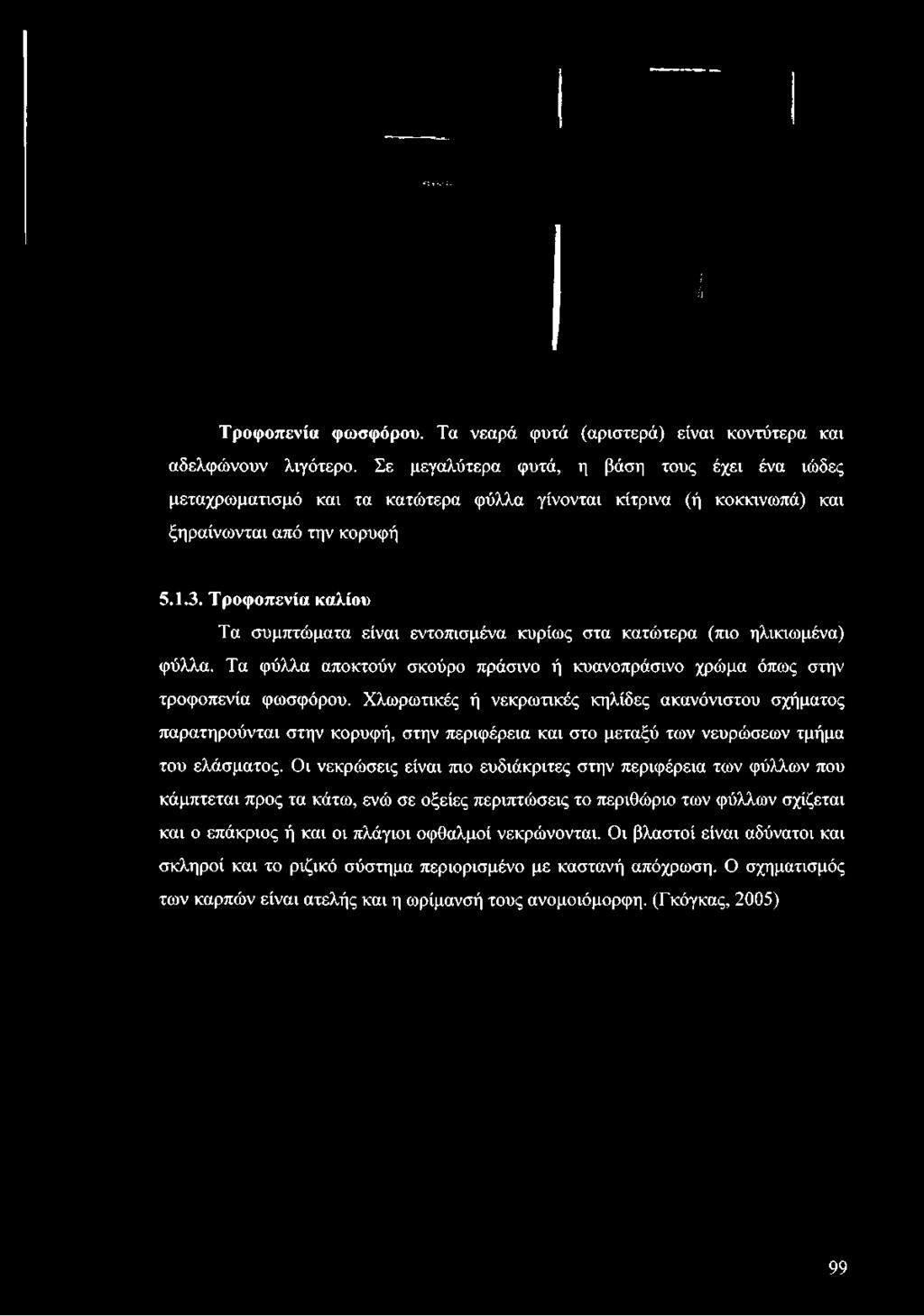 Τροφοπενία καλίου Τα συμπτώματα είναι εντοπισμένα κυρίως στα κατώτερα (πιο ηλικιωμένα) φύλλα.