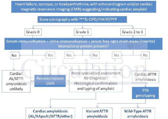 Non-Biopsy Diagnosis of