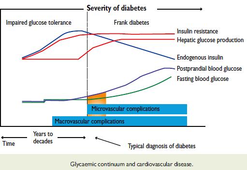 The development of CVD in people with IR is a progressive process, characterized by early endothelial dysfunction and vascular inflammation