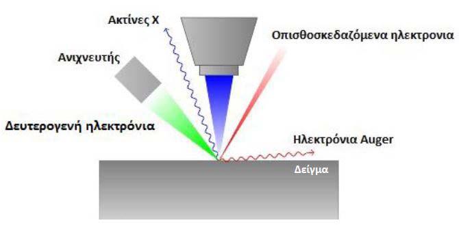 Εικόνα 4.8: Αλληλεπίδραση της δέσμης των ηλεκτρονίων με το προς εξέταση δοκίμιο. Κατά την σύγκρουση στο δείγμα των πρωτευόντων ηλεκτρονίων, παράγονται διαφόρων τύπων ηλεκτρόνια.