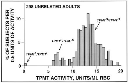 Thiopurine S-methyltransferase (TPMT) Τοξικότητα XO, xanthine oxidase; TPMT, thiopurine S-methyl transferase; HPRT, hypoxanthine