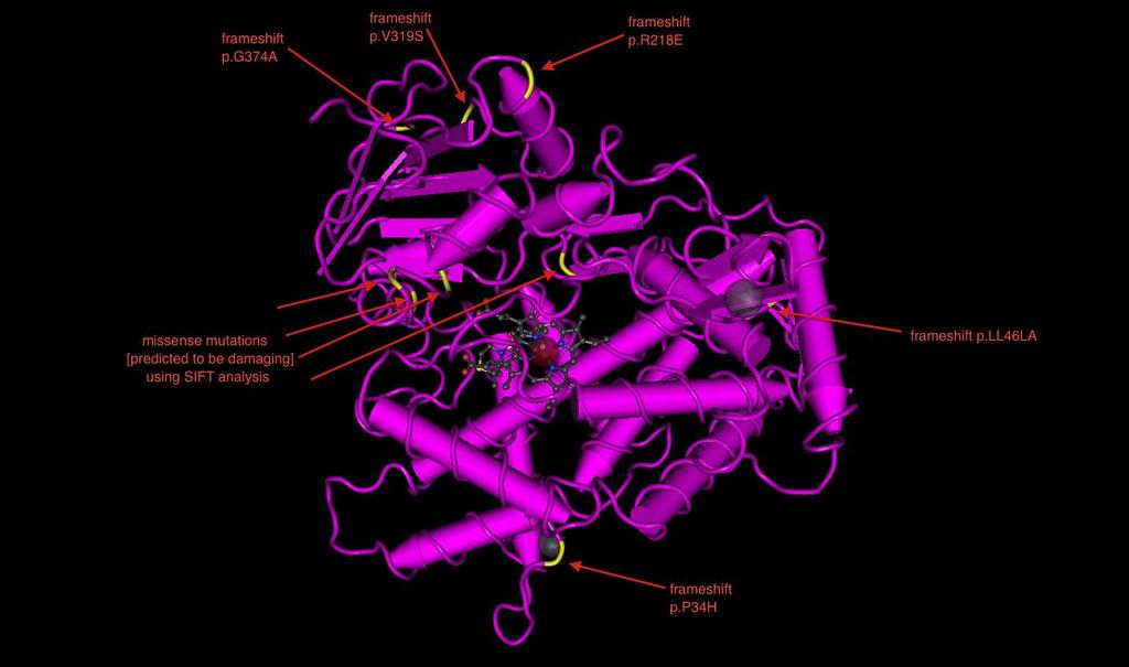 Ανάλυση In silico: CYP2D6