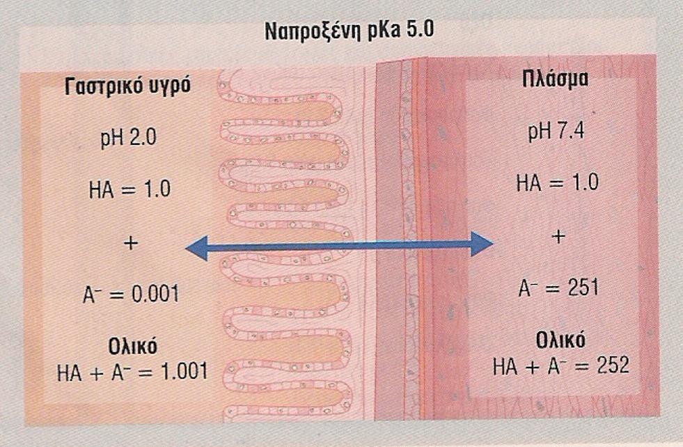 ΣΗΜΑΣΙΑ ΤΟΥ ΙΟΝΙΣΜΟΥ Η κατανομή ενός όξινου (ναπροξένη) και ενός