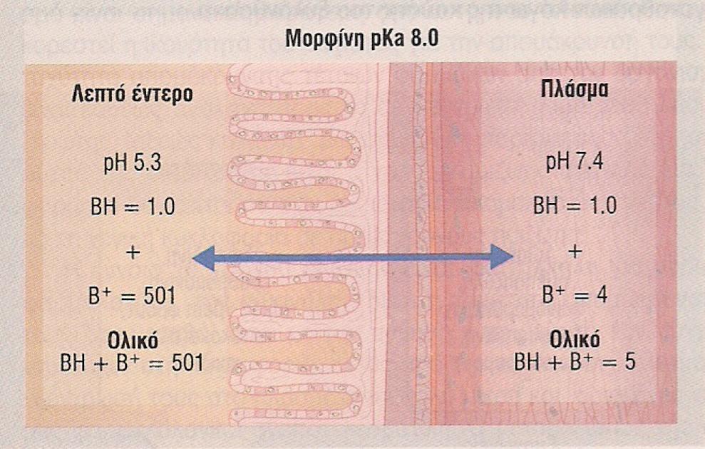 Τα όξινα φάρμακα συσσωρεύονται στη γενική κυκλοφορία, ενώ τα βασικά