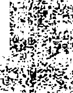 V. - ^ V. r i ; ;. ; ^ ;.' 7 =-. ', - V ' :>, \ i - : - > V V : V - " ^ v.