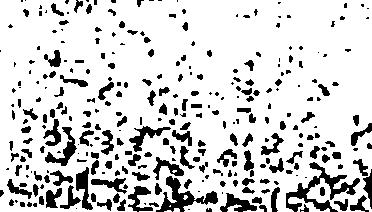 Χ :'^ + Φ $ί s - a a i i s i S '... - ;- r%! ϊν ί ',.