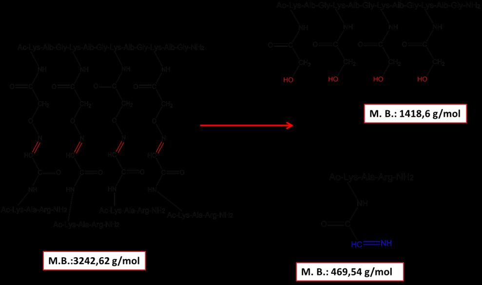 10.3.3 Επώαση του συμπλέγματος Αc-SOC 4 -[Ac-Lys(CH=N-O)-Ala-Arg] 4 -NH 2 με τα μικροσωμάτια Για τη μελέτη της ενζυμικής διάσπασης του δεσμού οξίμης στη χημειοεκλεκτική σύνδεση έγινε επώαση του