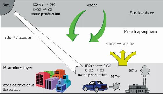48 όζοντος και το φωτοχημικό νέφος είναι λοιπόν ένα φαινόμενο που ευνοείται κατά την διάρκεια της ημέρας και των θερμών μηνών του έτους.