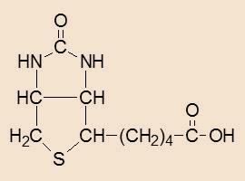 Βιοτίνη Παράγει ενέργεια από μεταβολισμό λιπαρών οξέων και πρωτεϊνών για: 1.