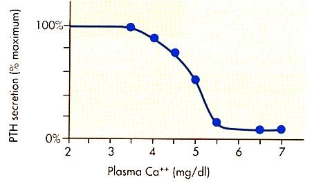 Η έκκριση της PTH ρυθµίζεται κύρια από τα επίπεδα Ca στο πλάσµα Η έκκριση της PTH