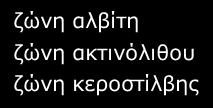 Μεταμορφικές Ζώνες Ανάλογες μεταμορφικές ζώνες εμφανίζονται σε μεταβασίτες.