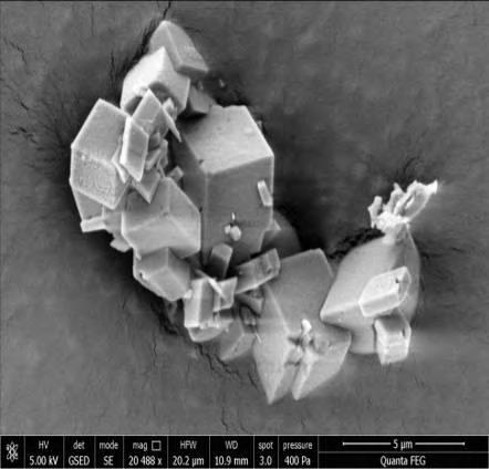 6: Εικόνες SEM των κρυστάλλων ασβεστίτη που σχηματίστηκαν στους κόκκους