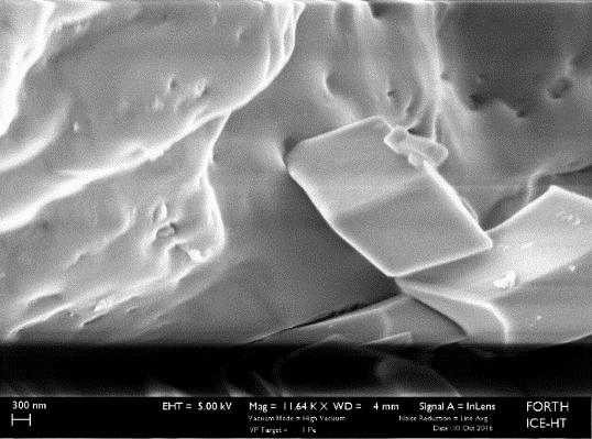 0mM, παρουσία φύτρων ασβεστίτη, αλατότητα 15