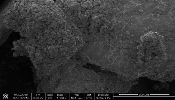 Εικόνα 7.29: Εικόνες SEM των κρυστάλλων ασβεστίτη που σχηματίστηκαν στους κόκκους της άμμου στη μέση της κλίνης.