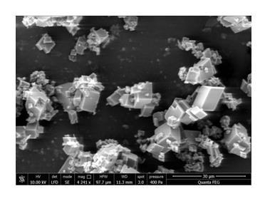 Calcite seed crystals Intensity/ Arb. units Synthetic Calcite 5-586 10 20 30 40 50 2 0 Εικόνα 6.2: Διάγραμμα X-ray diffraction για τα φύτρα ασβεστίτη, σύγκριση με JCPDS standard 5-586 Εικόνα 6.