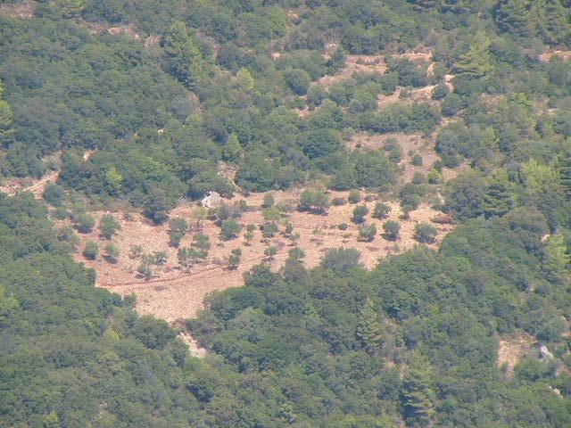 Διάκενο για Αγροτική χρήση δασικής γης