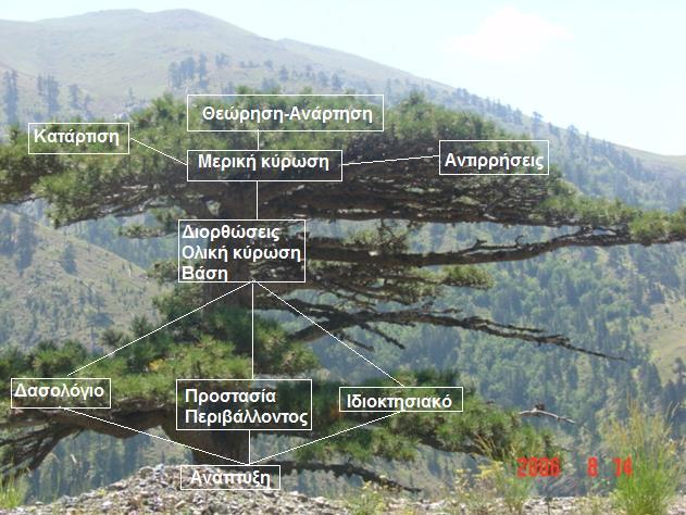 Δ.ΣΥΜΠΕΡΑΣΜΑ ΠΡΟΤΑΣΕΙΣ 1.Η καταχώριση των Μεταβολών στα Κτηματολογικά Διαγράμματα προϋποθέτει την τεχνική υποστήριξη των κτηματολογικών γραφείων και φορέων.