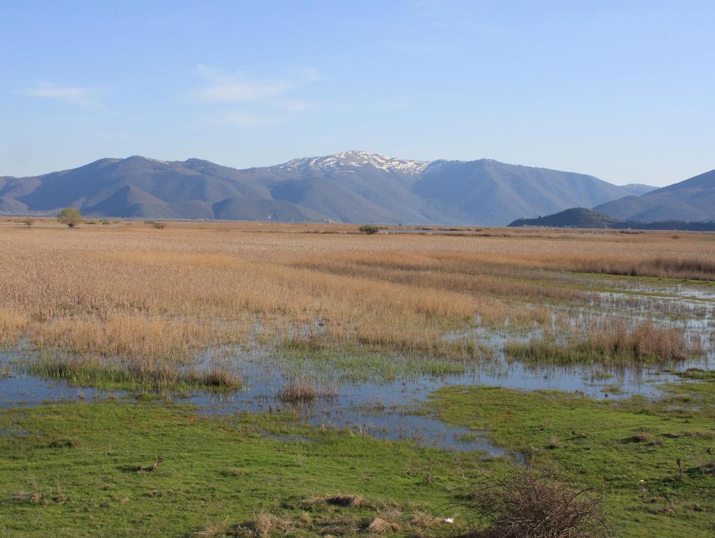 Ημερίδα με θέμα: «Περιοχές NATURA 2000: Ευκαιρία ή