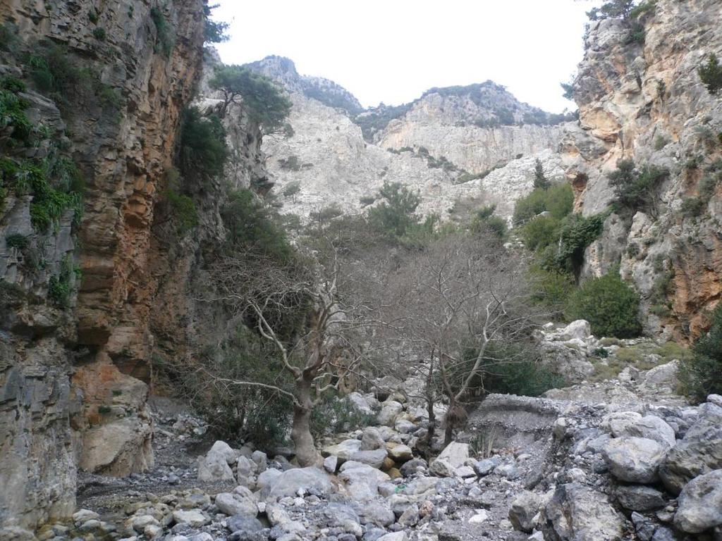 Το εκβολικό σύστημα του Γεροπόταμου, έχει δημιουργήσει μικρούς υγρότοπους κατά μήκος του