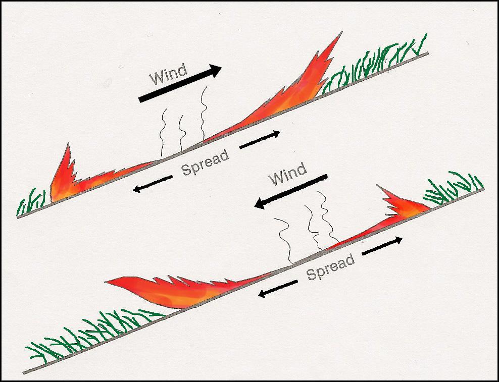 μοντέλου διάδοσης της πυρκαγιάς του Rothermel (1972).