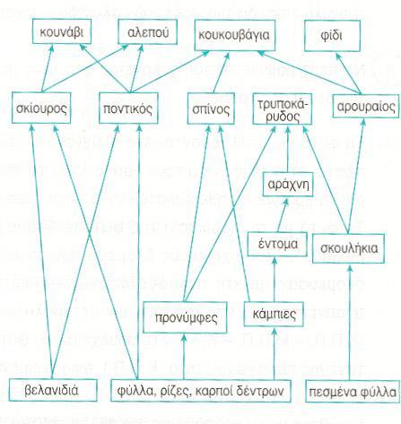 Η ιδέα των πολλαπλών τροφικών επιλογών σε ένα τροφικό πλέγμα Τι θα συμβεί αν απομακρύνουμε τα σκουλήκια;;; - αρουραίοι πρόβλημα: δεν έχουν εναλλακτικές επιλογές