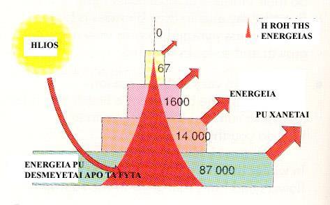 Οι πυραμίδες ενέργειας έχουν και αυτές μειονεκτήματα;;; Οι πυραμίδες ενέργειας δεν έχουν ποτέ περίεργο σχήμα: μόνο ένα μέρος της ενέργειας περνάει στο επόμενο επίπεδο Θυμηθείτε τι είδαμε αντίθετα