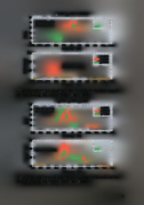 10 8 6 Transfer Function Primary System Γ =0.05, CO =1 Hz, co =0.8 Hz Ίτ P S /A t-v V* ο t 0) ο. <D O cro o t Φ Ο 4 2 Ι 50 100... ** 0 0.5 0.6 0.7 0.8 0.9 1 1.1 1.2 1.3 1.