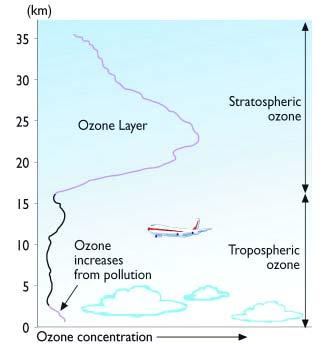 1 ο ΚΕΦΑΛΑΙΟ ΕΙΣΑΓΩΓΗ 1.1 Όζον Το όζον (O ) είναι ένα αέριο συστατικό της γήινης ατμόσφαιρας το 3 οποίο συναντάται κυρίως στη στρατόσφαιρα (90%) και σε μικρότερα ποσοστά στην τροπόσφαιρα (10%).