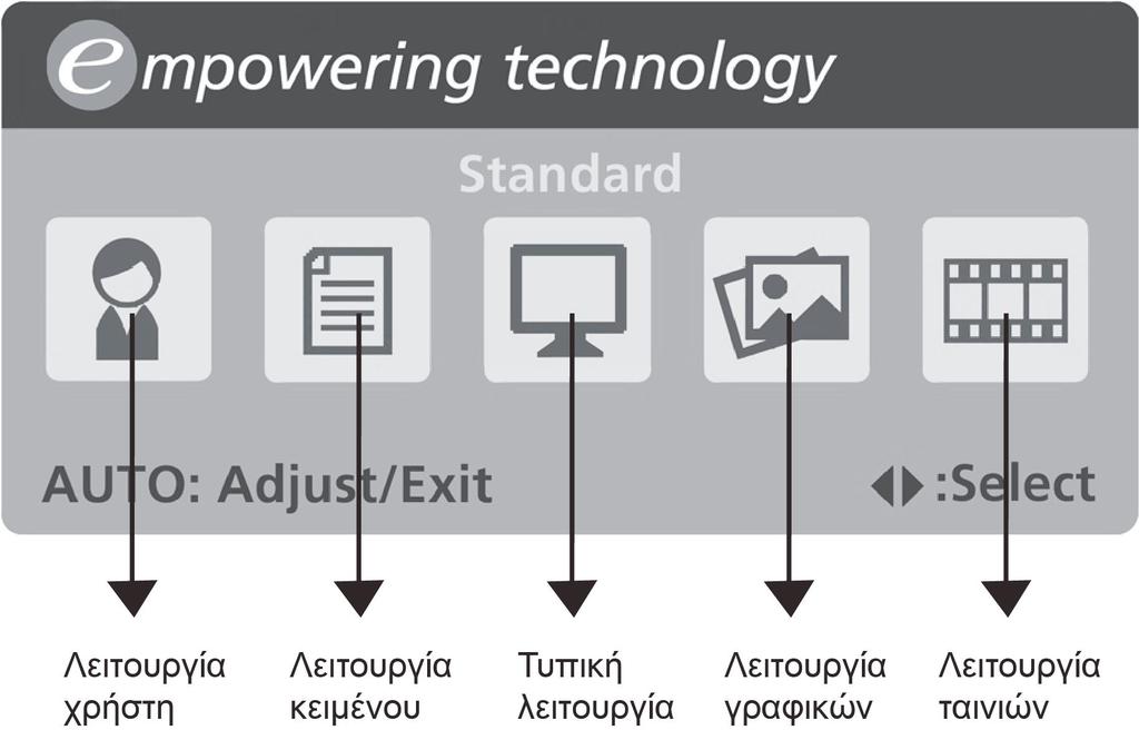 Acer ecolor