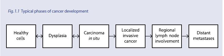 Η βιολογία του καρκίνου Οι τυπικές φάσεις εξέλιξης του καρκίνου Υγιή κύτταρα Δυσπλασία