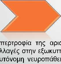 Διαβητική μυοκαρδιοπάθεια: Σύγχρονος ορισμός Δυσλειτουργία των κοιλιών της καρδιάς σε ασθενείς με σακχαρώδη διαβήτη χωρίς