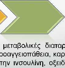 διαταραχές, αλλαγές στην εξωκυττάρια ουσία, μικροαγγειοπάθεια, καρδιακή αυτόνομη νευροπάθεια, αντίσταση στην ινσουλίνη,