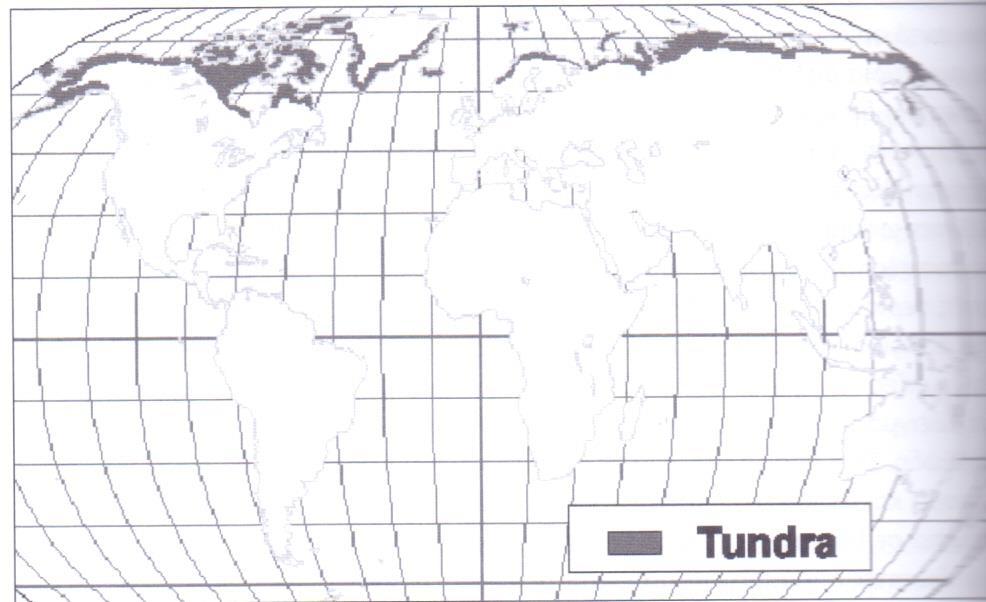 Τούνδρα Η τούνδρα καλύπτει μεγάλες εκτάσεις της Αρκτικής, οι οποίες αντιστοιχούν στο 20% της χερσαίας