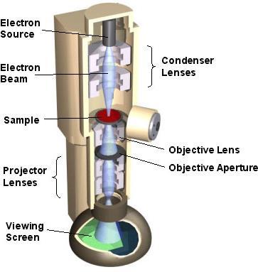 Ηλεκτρονική μικροσκοπία Διέλευσης (2/3) Τα ηλεκτρόνια εκπέμπονται από μία κάθοδο, είτε με θερμιονική εκπομπή είτε με εκπομπή τύπου Schottky, είτε με εκπομπή πεδίου.