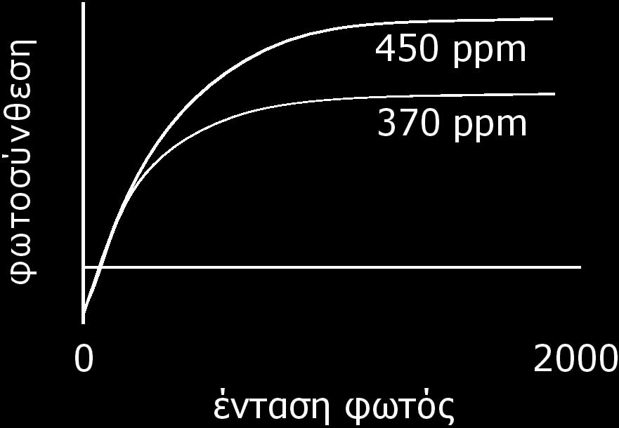 Εντάσεις