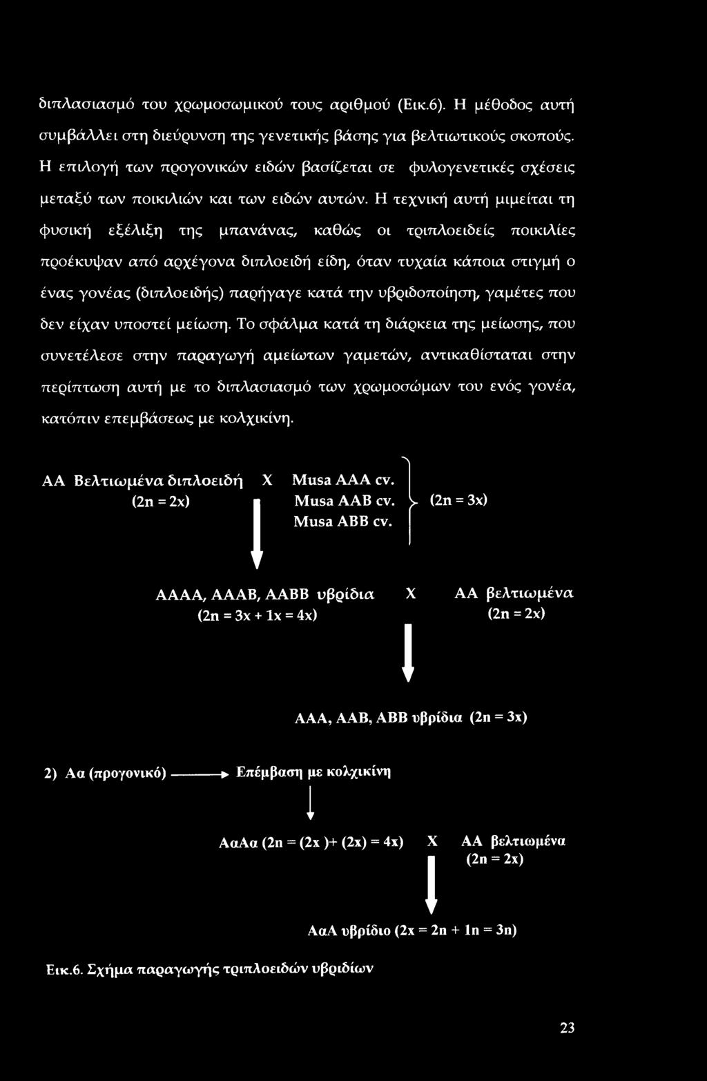 Η τεχνική αυτή μιμείται τη φυσική εξέλιξη της μπανάνας, καθώς οι τριπλοειδείς ποικιλίες προέκυψαν από αρχέγονα διπλοειδή είδη, όταν τυχαία κάποια στιγμή ο ένας γονέας (διπλοειδής) παρήγαγε κατά την