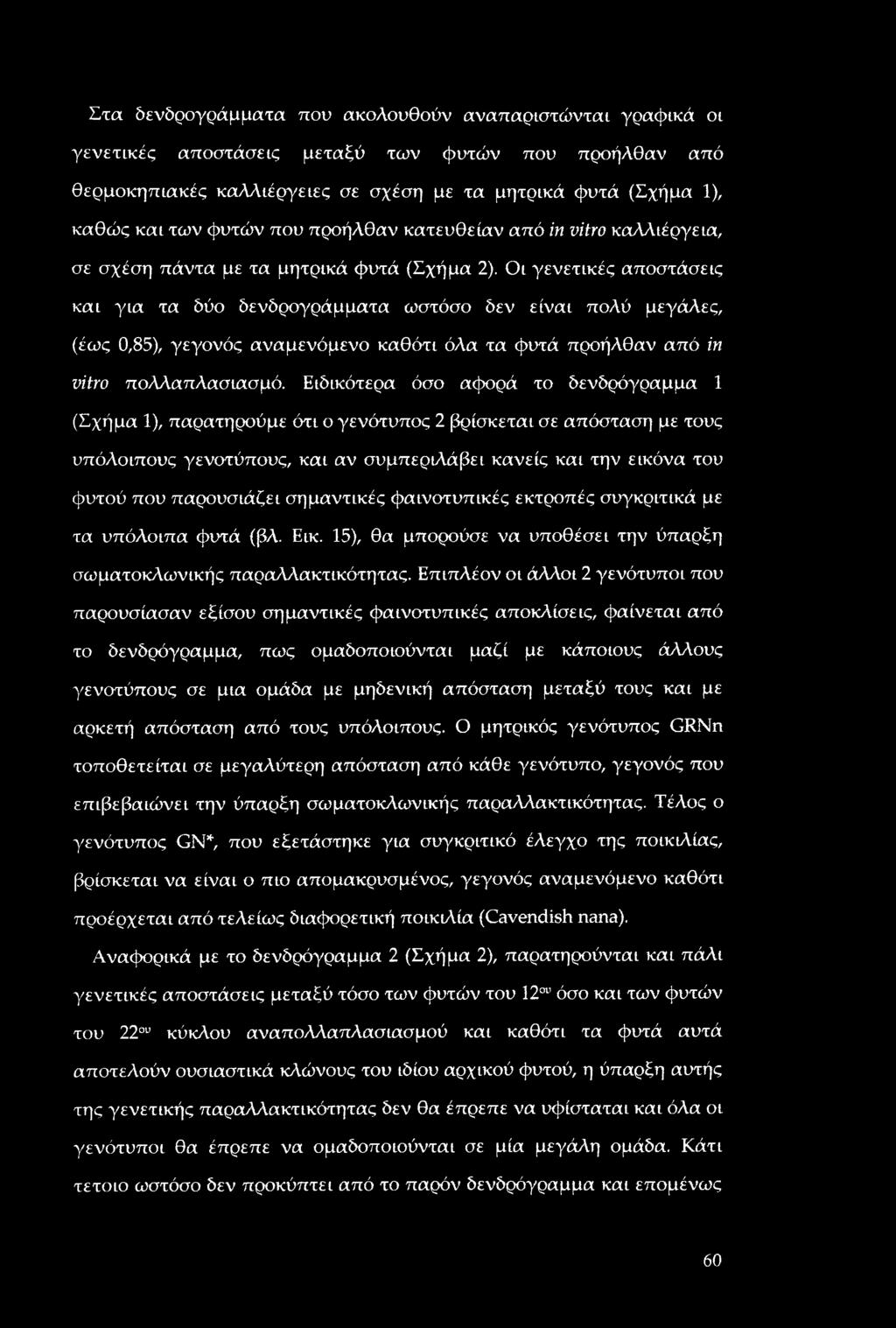 Οι γενετικές αποστάσεις και για τα δύο δενδρογράμματα ωστόσο δεν είναι πολύ μεγάλες, (έως 0,85), γεγονός αναμενόμενο καθότι όλα τα φυτά προήλθαν από in vitro πολλαπλασιασμό.