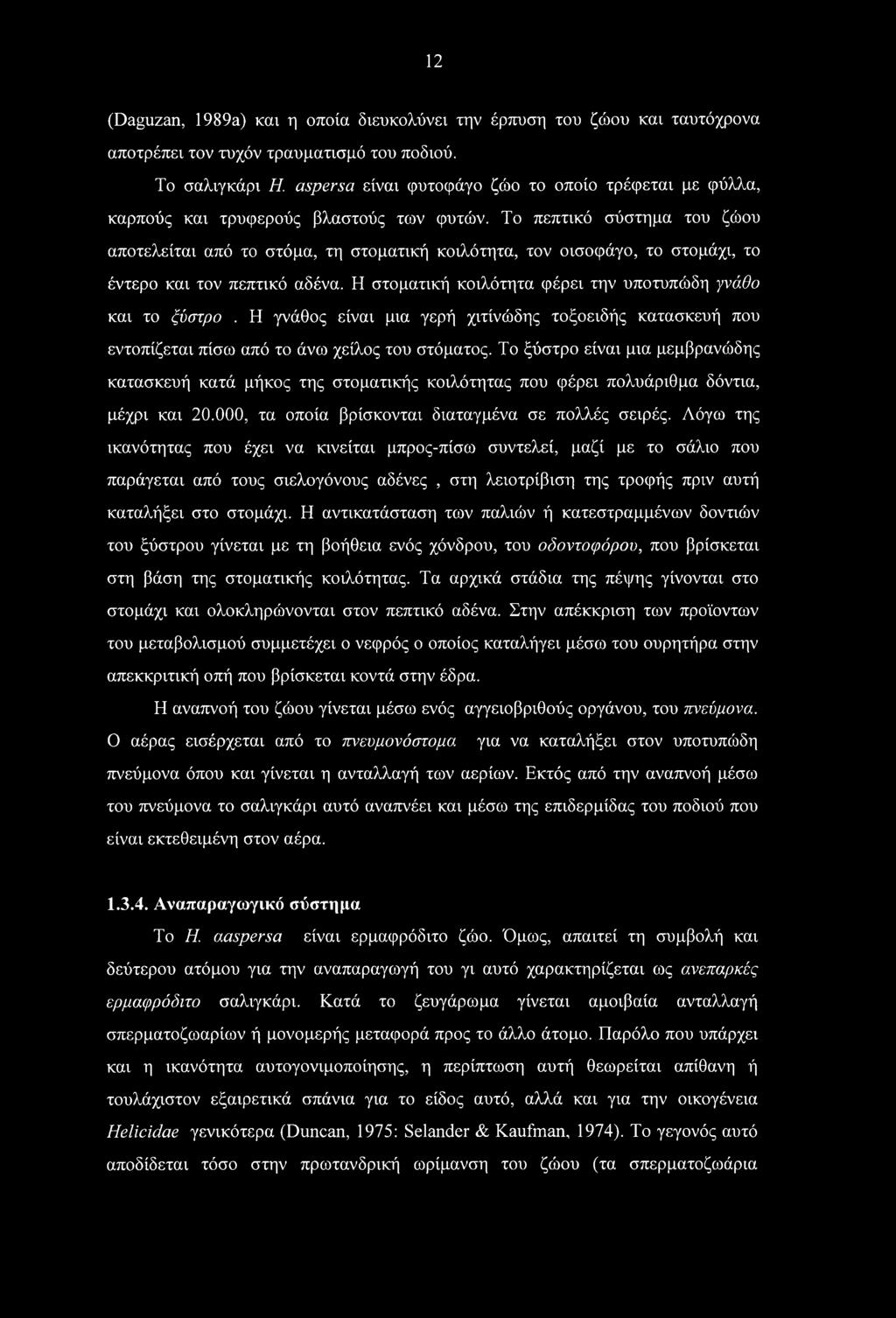 Το πεπτικό σύστημα του ζώου αποτελείται από το στόμα, τη στοματική κοιλότητα, τον οισοφάγο, το στομάχι, το έντερο και τον πεπτικό αδένα. Η στοματική κοιλότητα φέρει την υποτυπώδη γνάθο και το ξύστρο.