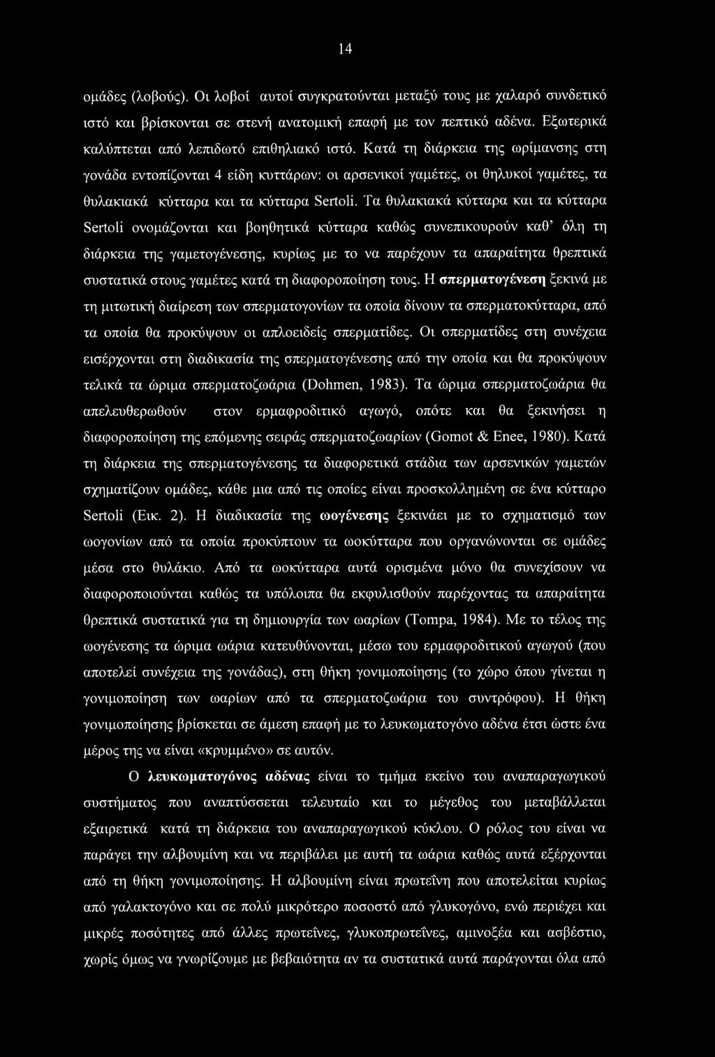 14 ομάδες (λοβούς). Οι λοβοί αυτοί συγκρατούνται μεταξύ τους με χαλαρό συνδετικό ιστό και βρίσκονται σε στενή ανατομική επαφή με τον πεπτικό αδένα. Εξωτερικά καλύπτεται από λεπιδωτό επιθηλιακό ιστό.