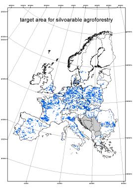 Ποιες οι δυνατότητες στην Ευρώπη; Αγροδασοπονία Δασική φυτεία 90 εκατομμύρια εκτάρια κατάλληλα για δασογεωργική αγροδασοπονία Λίγες ρίζες των δέντρων στη ζώνη των ριζών της γεωργικής καλλιέργειας